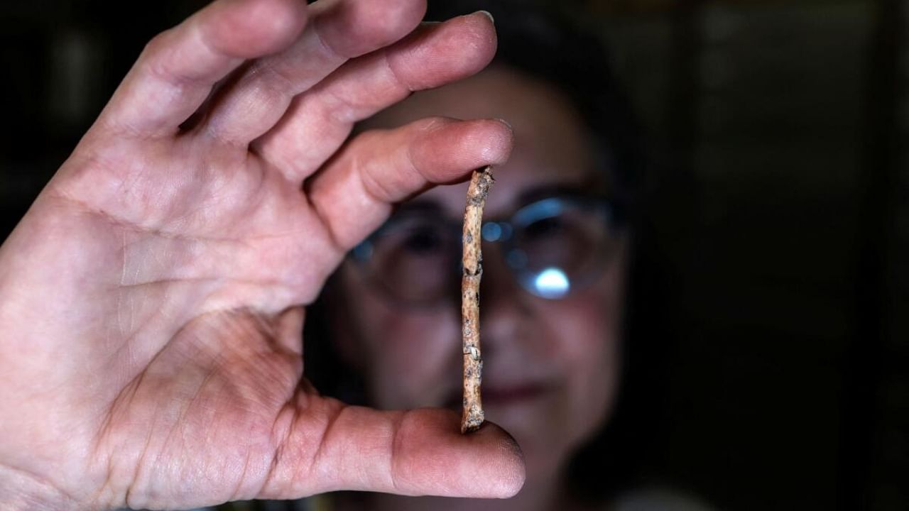 A researcher holds a miniature flute, which scientists believe was crafted 12,000 years ago from bird bones and may have been used for bird calls, at the Hebrew University of Jerusalem. Credit: Reuters Photo