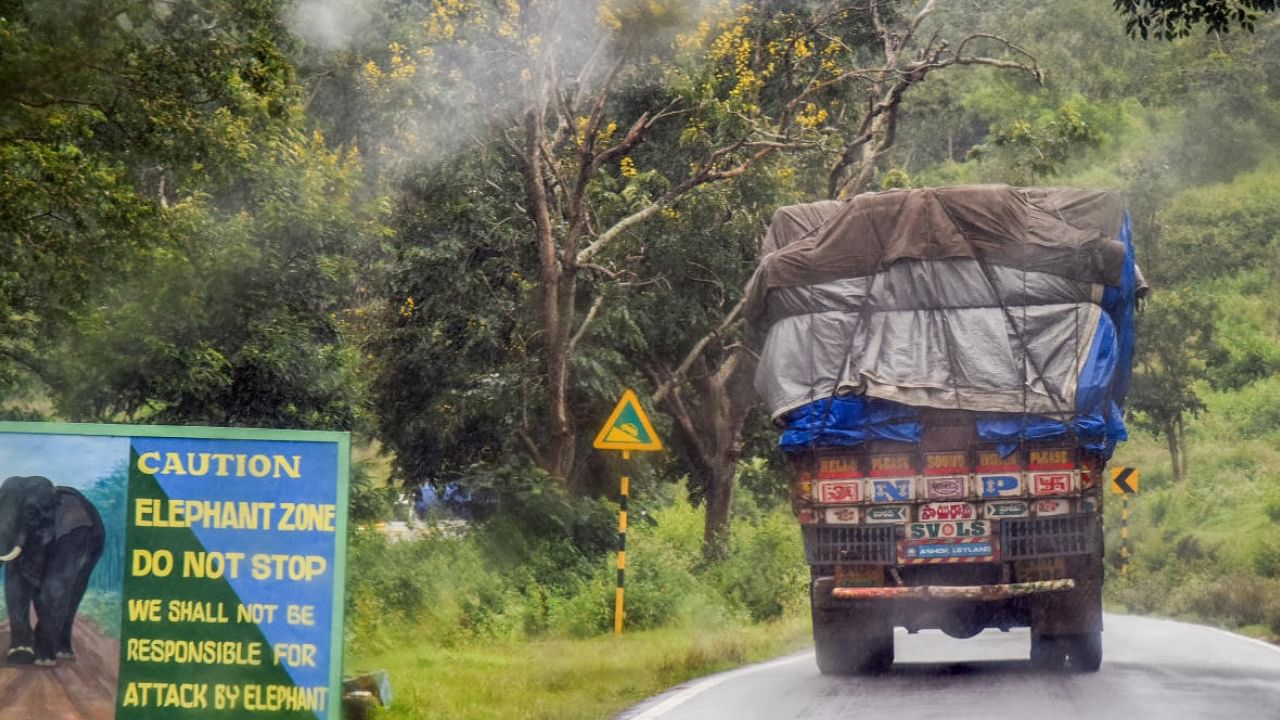 Karnataka has five tiger reserves. Four of these share borders with Tamil Nadu, Kerala, and Goa. Credit: DH Photo