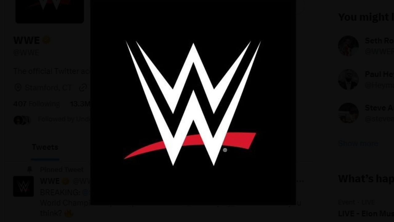 <div class="paragraphs"><p>The WWE logo. </p></div>