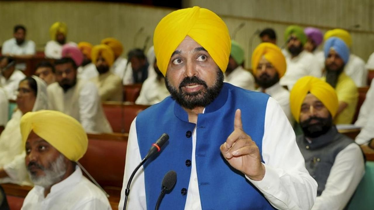 Punjab Chief Minister Bhagwant Mann. credit: PTI File Photo