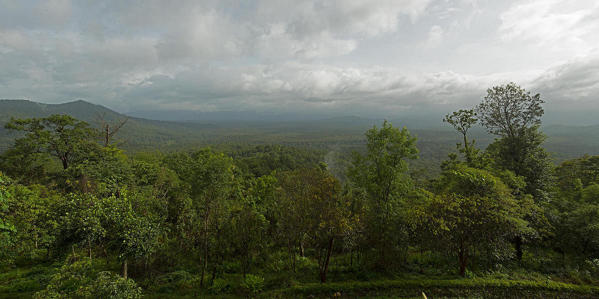 Jagara Valley