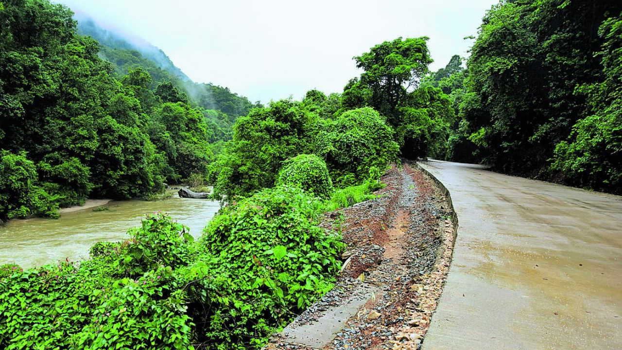 A file photo of a stretch of road in Shiradi Ghat. Credit: Special Arrangement