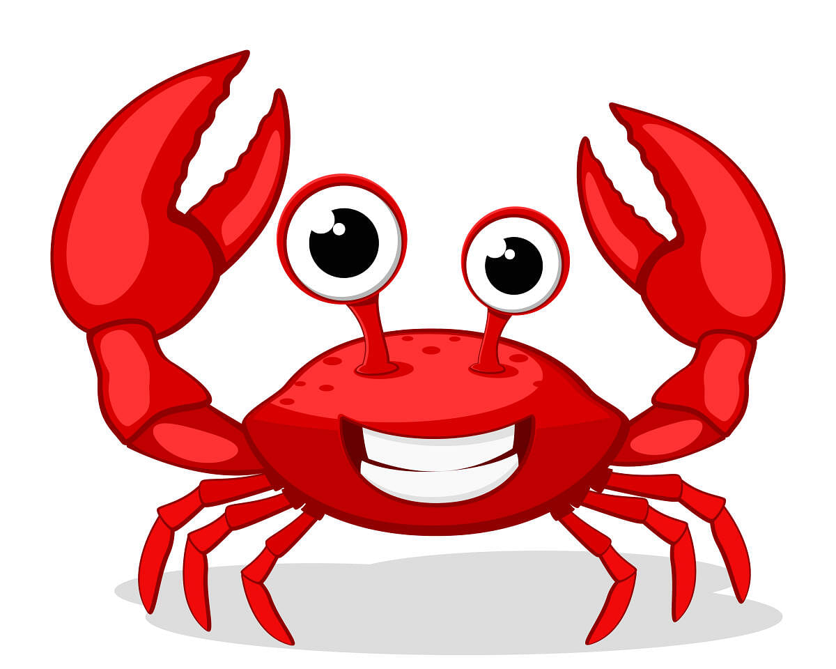 Crabby the crab
