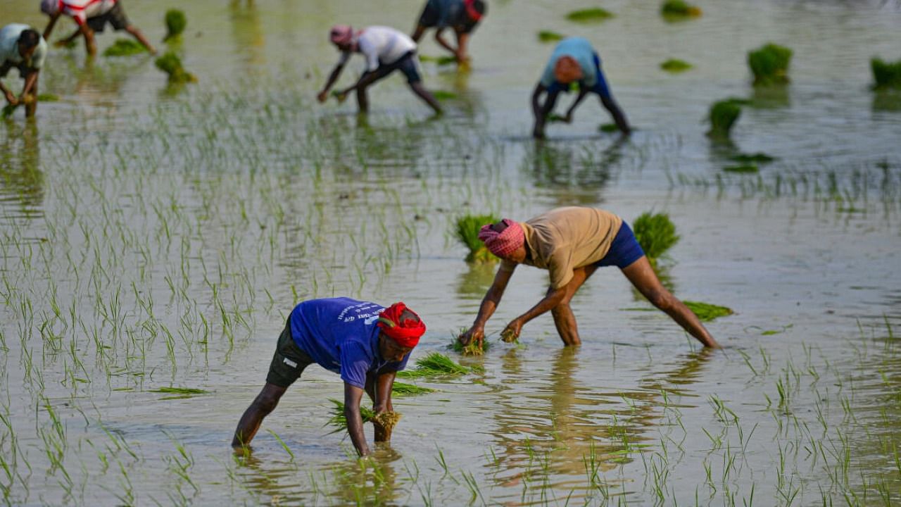 Representative image. Credit: PTI File Photo