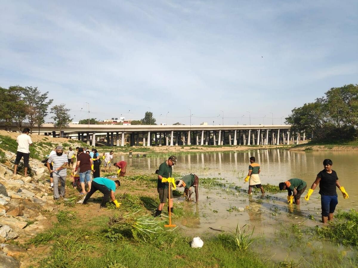 Volunteers cleaning up a section of Benniganahalli lake.