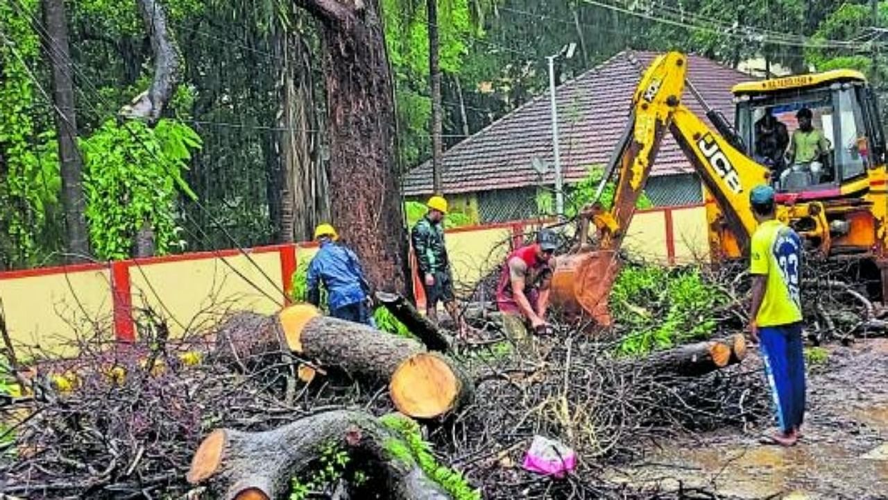 Forest officials clear a tree on Jail Road in Mangaluru on Saturday. The branches had fallen in the morning and the tree was posing danger to motorists. Credit: DH Photo