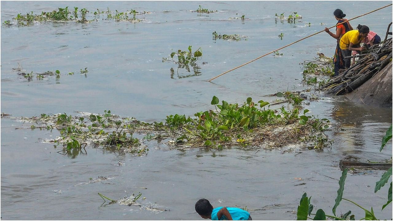 Sonitpur: A child collects firewood on the banks of river Brahmaputra at Tezpur, in Sonitpur district, Wednesday, June 14, 2023. Credit: PTI Photo