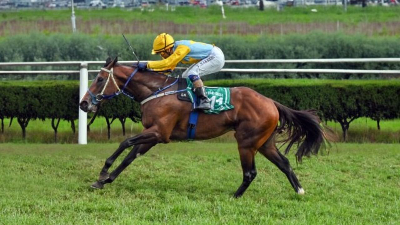 Rajesh-ward Synthesis, to be ridden by Suraj, holds a razor edge over other top contenders Jamari (below left) and Destroyer at the Bangalore Summer Derby at the Bangalore Turf Club on Sunday. Credit: DH File Photo