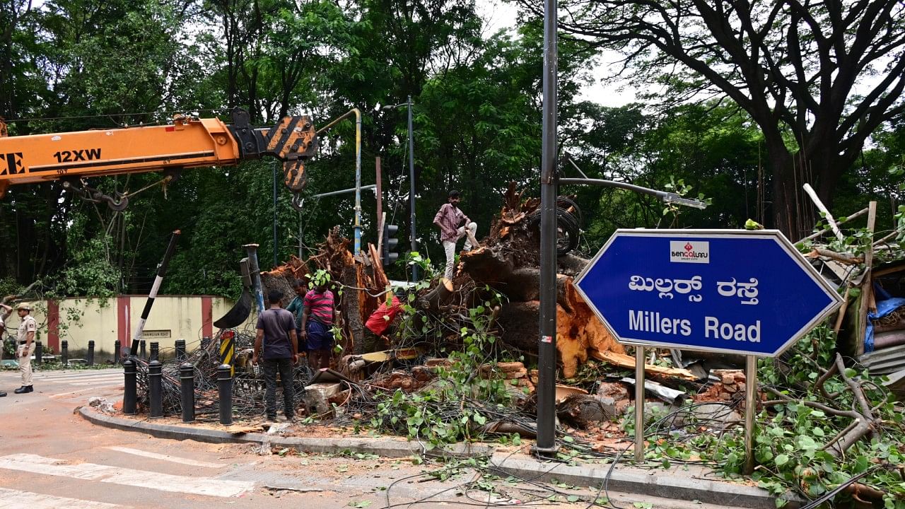 Workers clear a people tree which fell on many vehicles at Millers Road on Friday night, in Bengaluru. Credit: DH Photo/B K Janardhan