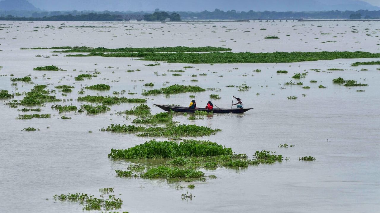 Flooding in Assam. Credit: PTI Photo