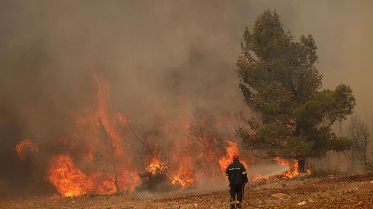 Wildfire burns in Kandyli near Athens. Credit: Reuters Photo