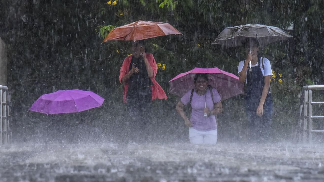 Rain in Kerala. Credit: PTI Photo