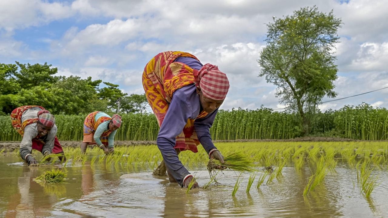 Representative image. Credit: PTI Photo