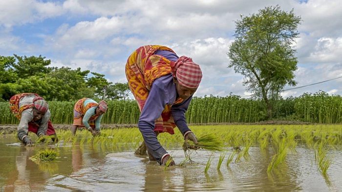 Representative Image. Credit: PTI Photo