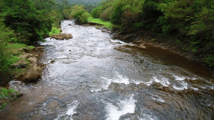 Mahadayi river. Credit: DH Photo