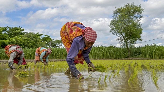 Representative image. Credit: PTI Photo