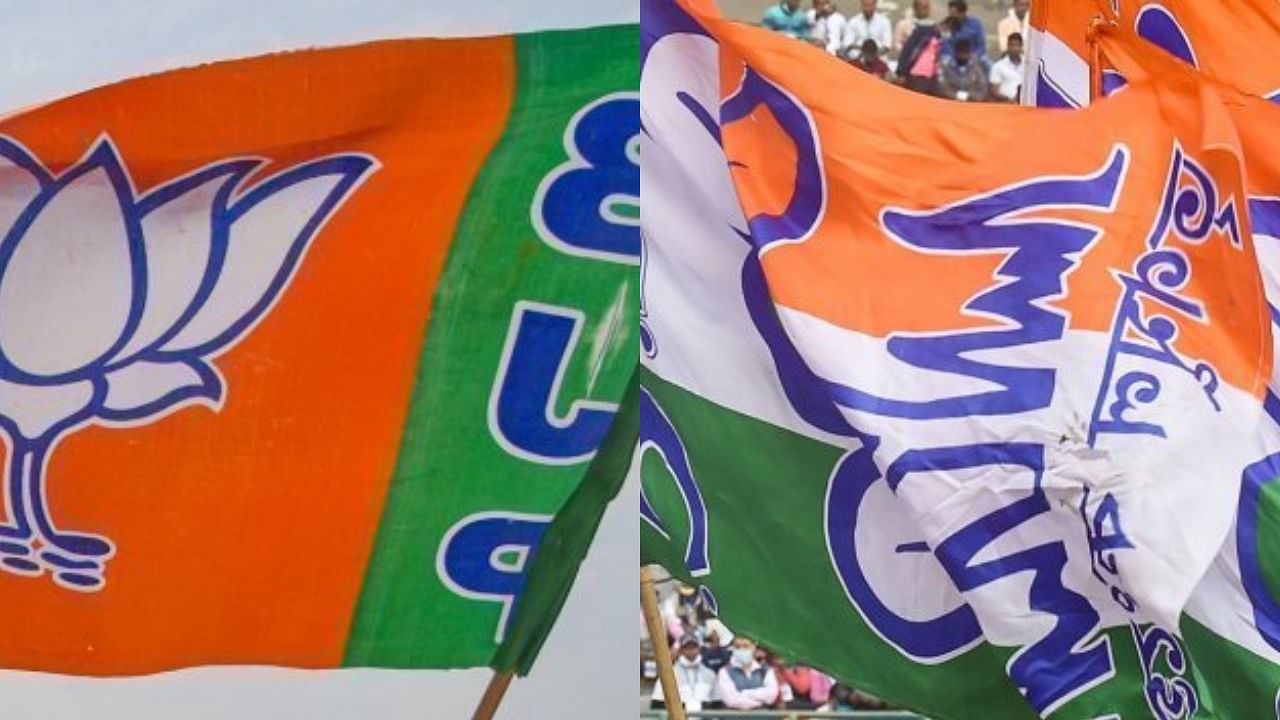 BJP and TMC party flags. Credit: PTI File Photos