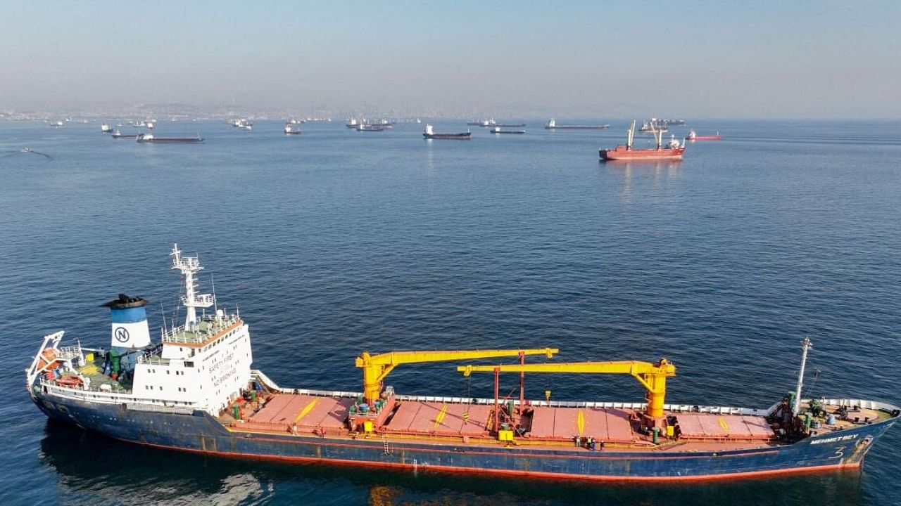 Commercial vessels part of Black Sea grain deal. Credit: Reuters Photo