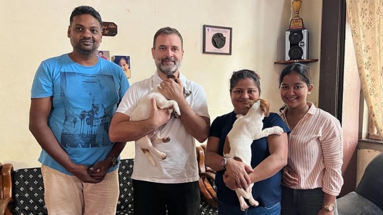 Rahul Gandhi with his puppy in Goa. Credit: Instagram/shades_jackrussells