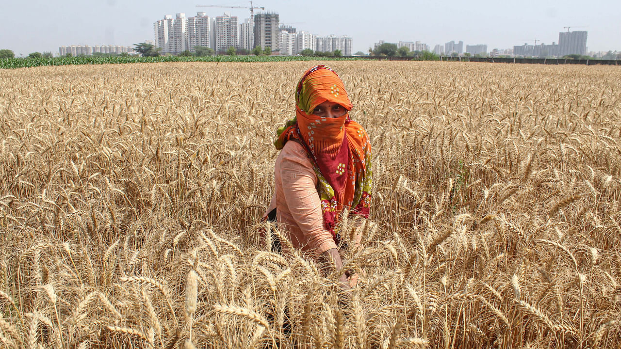 Representative image. Credit: PTI Photo