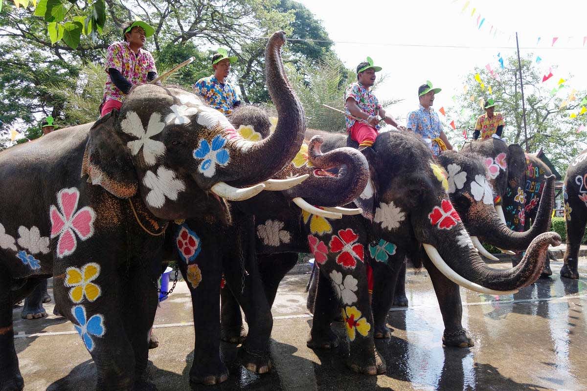 Painted elephants are seen during the celebration of Songkran Water Festival, to commemorate Thailand's New Year in Ayutthaya. Reuters Photo