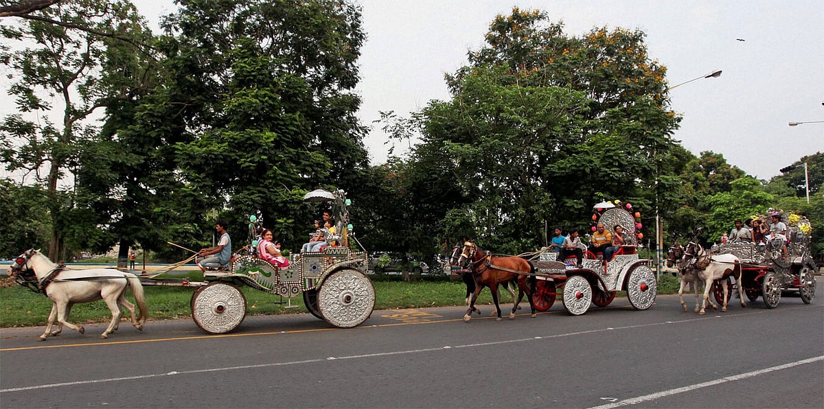 20120617 Photo gallery