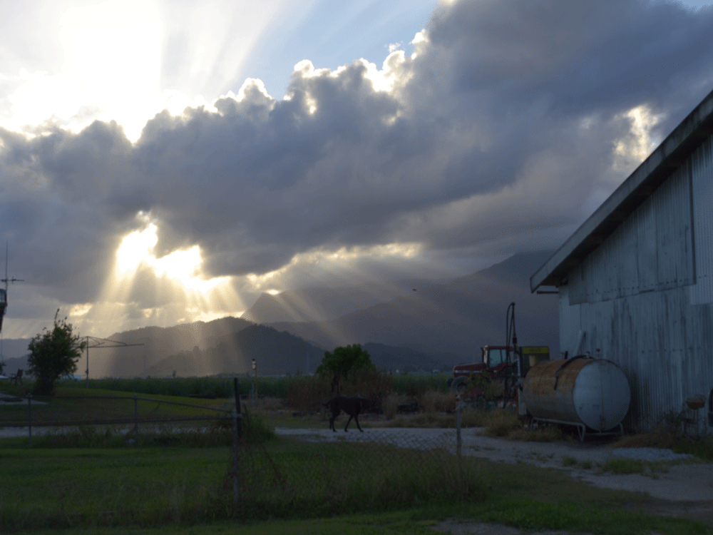 Sun rays passing through the clouds on a cloudy day near some farmlands in Cairns ,  Australia.