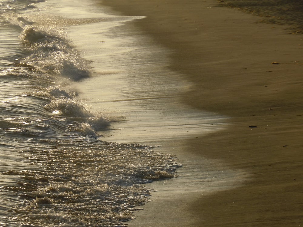 2013-05-10 Photo gallery