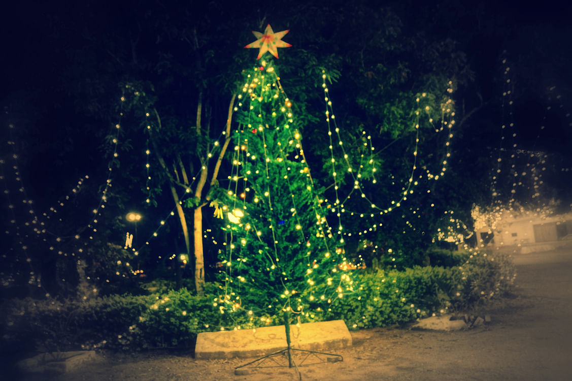 Christmas in Coimbatore, Tamil Nadu