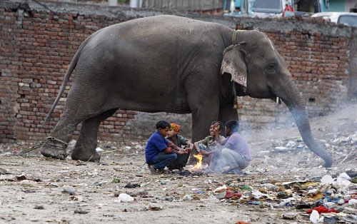 An elephant stands chained near children sitting around a makeshift bonfire at a shanty area early morning in Jammu, India, Saturday, April 5, 2014. The elephant belongs to a Hindu holy man who uses him to bless devotees in return for alms. (AP Photo...