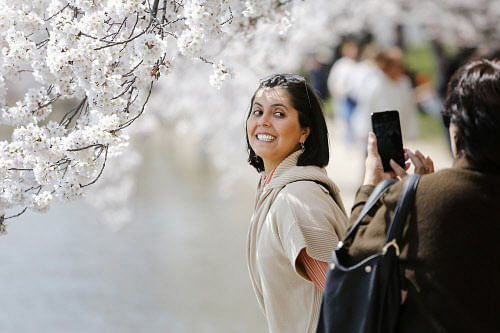 Darlene Yarrington of Fredericksburg, Virginia, has her picture taken  with the famed cherry blossoms along the Tidal Basin in Washington April  9, 2014. Washington's display of renowned cherry trees started as a  gift from Japan 102 years ago. REUTE...