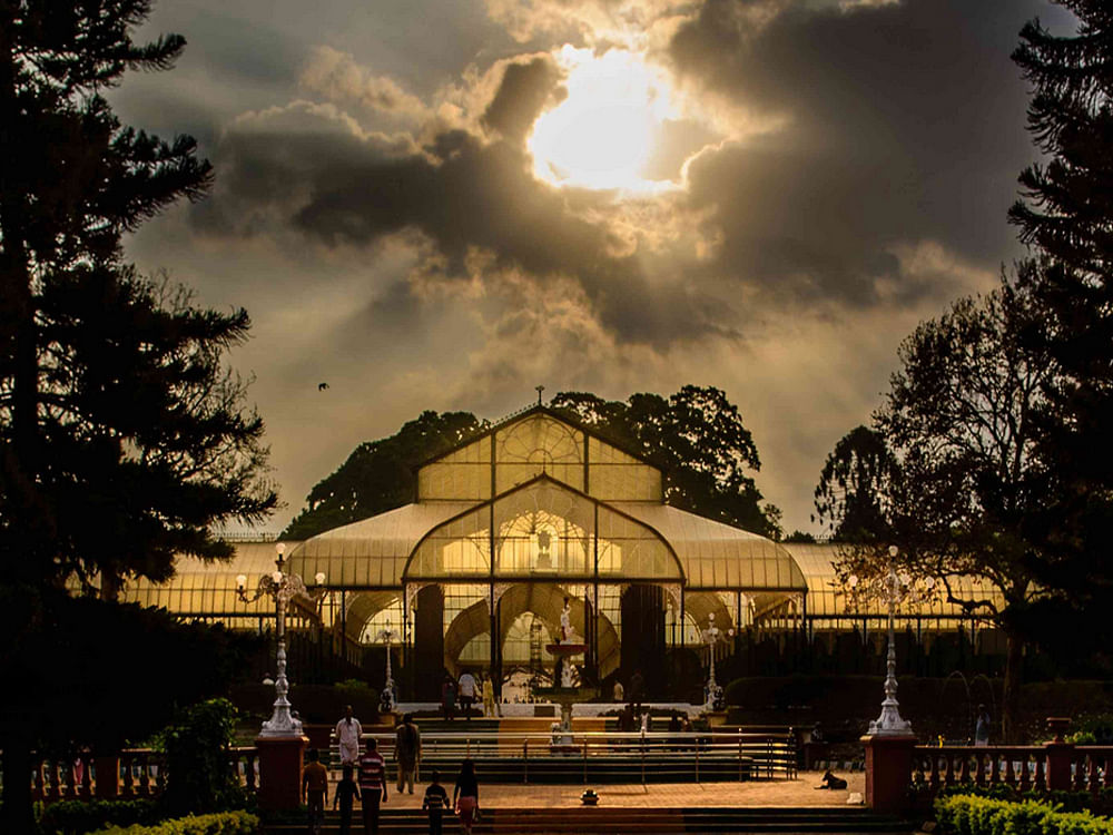 Glimpses of Lal Bagh
