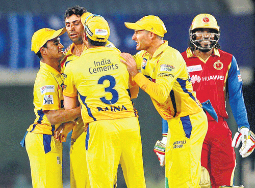 Chennai Super Kings’ players congratulate AshishNehra after his dismissal ofABde Villiers (not in pic).