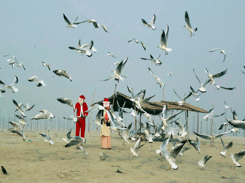  Santa Claus feeding migratory birds on the river bank of Ganga in Allahabad on Saturday. PTI  Photo.