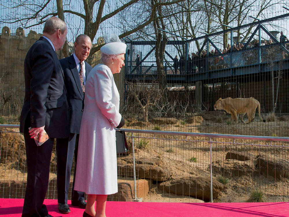 Britain's Queen Elizabeth II and her husband Prince Philip at the London Zoo after the monarch inaugurated a new Asiatic lion exhibit yesterday. PTI Photo.