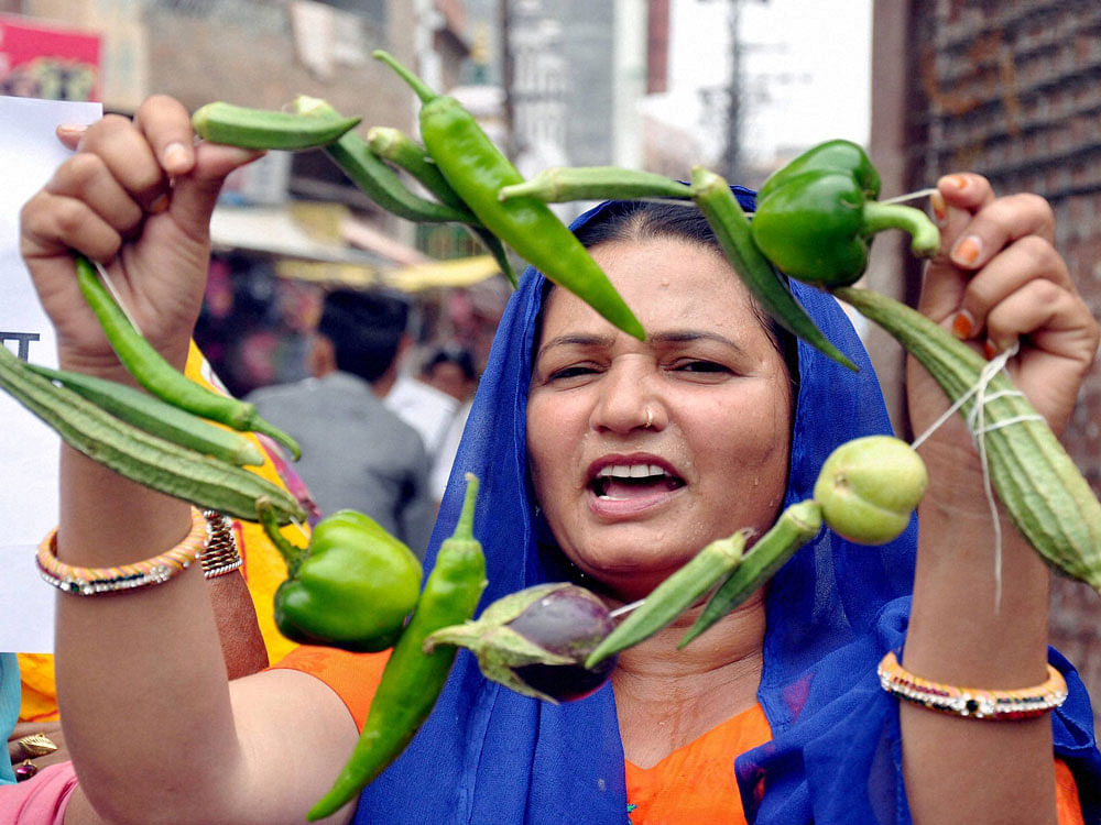 A Mahila congress party worker holds a garland made of vegetables during protest over price hike of vegetables, in Bikaner on Saturday. PTI Photo