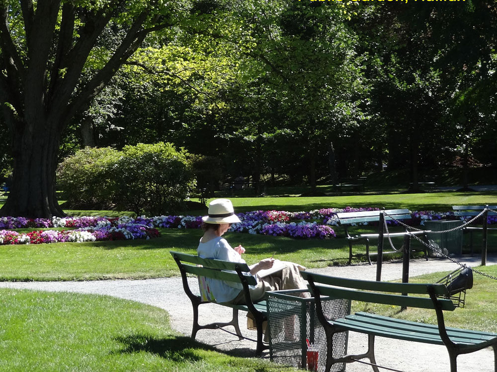 Public Garden - Halifax