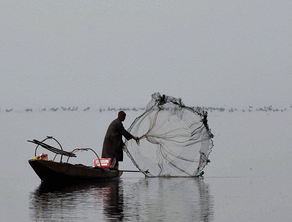 A fisherman casts his net to catch fish during a foggy day at Dal Lake in Srinagar on Wednesday. PTI Photo