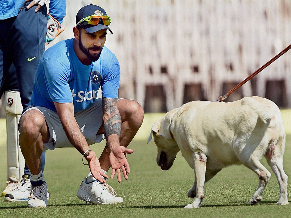  Indian captain Virat Kohli playing with sniffer dog during a practice session ahead of the fifth and final test match against England at MAC Stadium in Chennai on Thursday. PTI Photo