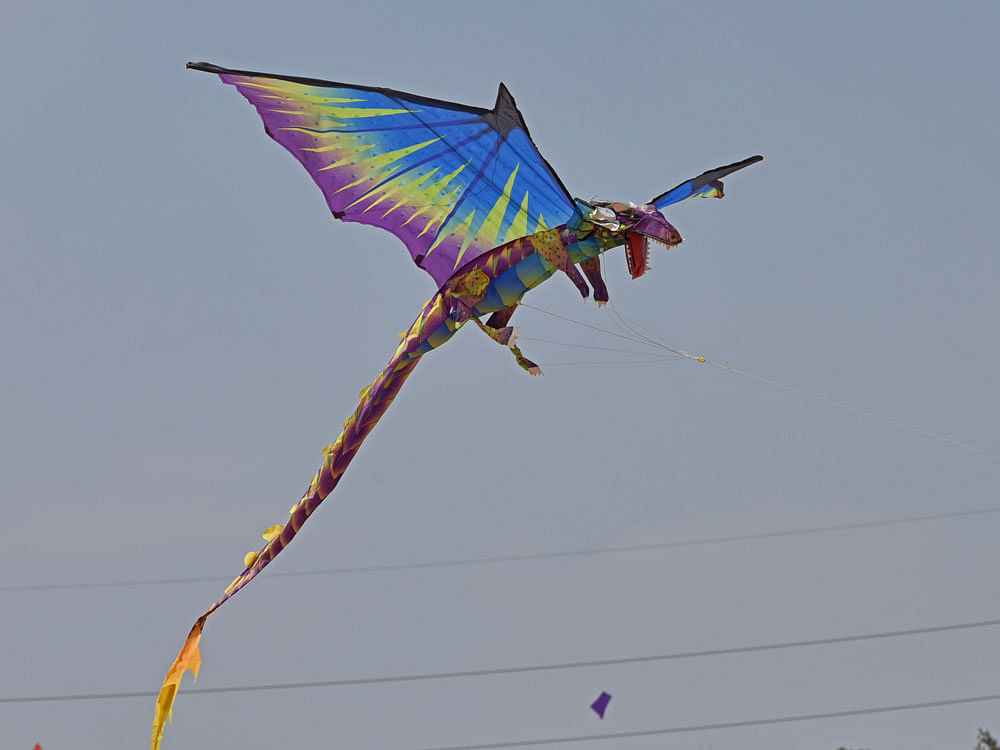 People are participated in Kite Festival organised by Rotary Bangalore Lakeside at HSR Layout in Bengaluru on Sunday. DH Photo