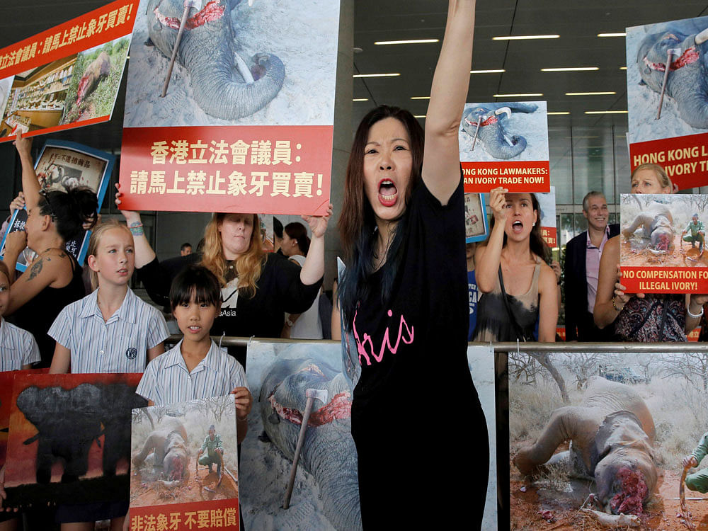 Animal conservation activists hold pictures of elephants being killed for their ivory tusks, outside the Legislative Council in Hong Kong, Tuesday, June 6, 2017. African park rangers are urging Hong Kong lawmakers to approve a ban on ivory sales but ...