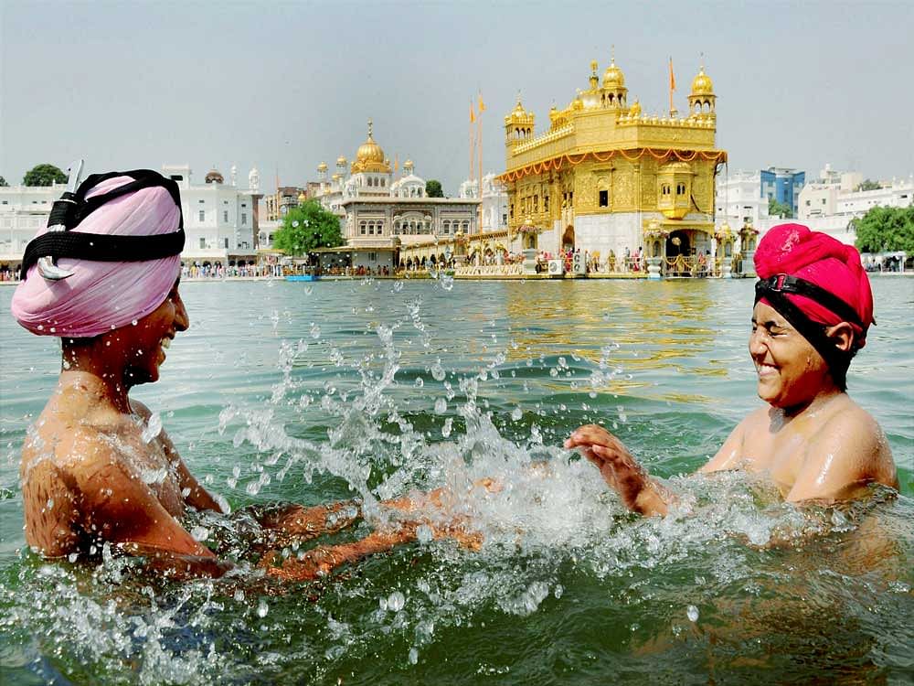 Sikh devotees take dip in the holy sarovar on the occasion of 484th birth anniversary of Guru Ramdass , fourth Sikh Guru, at the Golden Temple in Amritsar on Saturday. PTI Photo