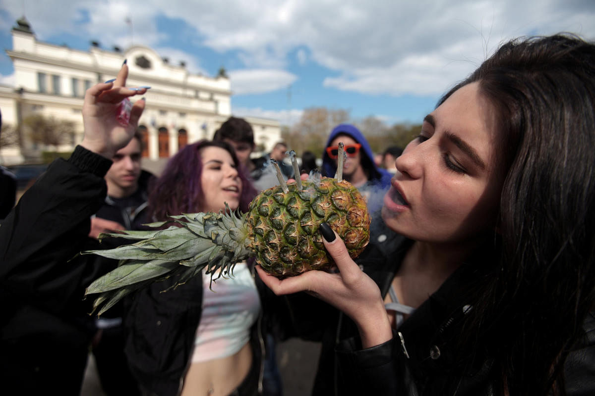 A demonstrator smokes joints through a pineapple at a 4/20 rally, in front of the Parliament building, in support of the legalisation of marijuana, in Sofia, Bulgaria, April 20, 2019. REUTERS/Dimitar Kyosemarliev