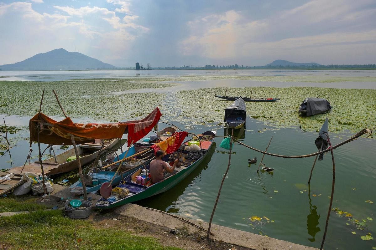 A fisherman feeds duck along the banks of Dal Lake during restrictions to maintain law and order, in Srinagar, Sunday, Sept 01, 2019.(PTI Photo)