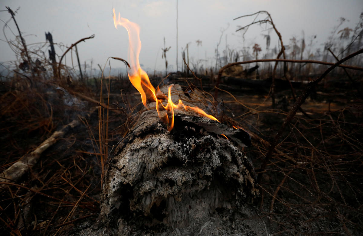 A tract of Amazon jungle is seen after a fire in Boca do Acre, Amazonas state, Brazil on August 24, 2019. (REUTERS/Bruno Kelly)