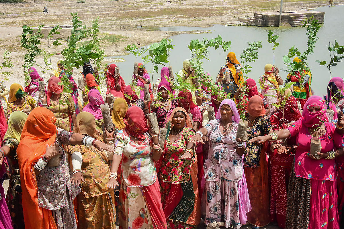 Women working under MGNREGA scheme hold plants gifted to them as they take an oath to take care of them, on the occasion of 'Amavasya' on the third Monday of the Hindu 'Sawan' month, amid the ongoing COVID-19 lockdown, in Jodhpur, Monday, July 20, 2020. Credit: PTI Photo