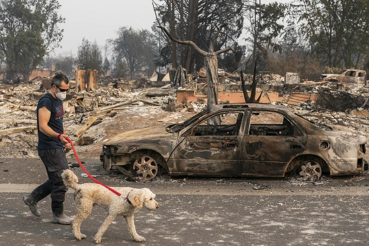Jerod Knox walks his dog, Bear, through his neighborhood after searching for belongings in his destroyed house in Talent, Oregon. City leaders estimate at least 600 homes were lost in the Almeda Fire as it burned through Talent and Phoenix, Oregon. Credit: AFP Photo