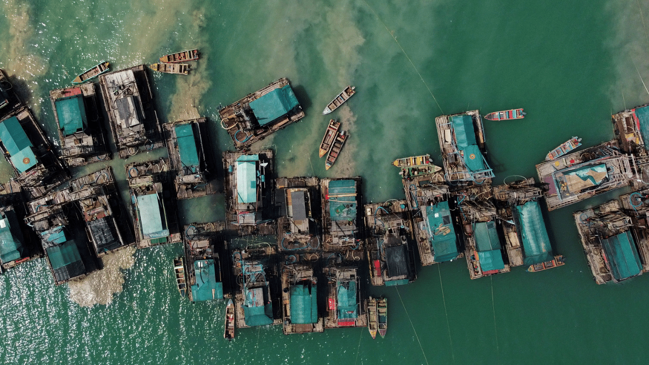 An aerial view shows wooden pontoons equipped to dredge the seabed for deposits of tin ore off the coast of Toboali, on the southern shores of the island of Bangka, Indonesia. Credit: Reuters Photo