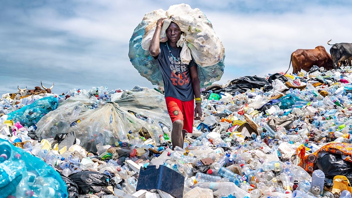 How startling images are helping to win hearts in the fight against  plastics pollution 