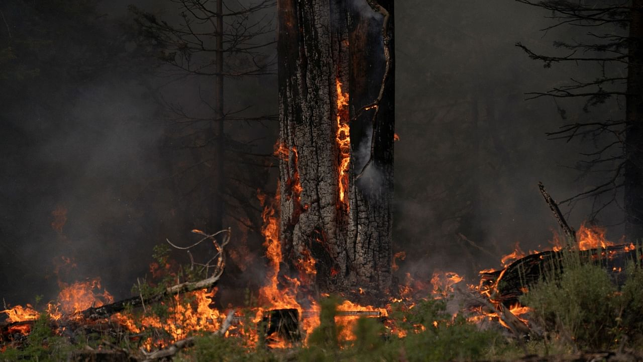 Oregon's Bootleg Wildfire: Largest US fire burns 390,000 acres. Credit: Reuters Photo